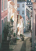 a quiet Bergen street