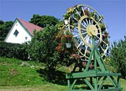 the big flower wheel